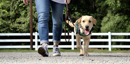 Entry image for Omega. Clicking this image will show a larger photo