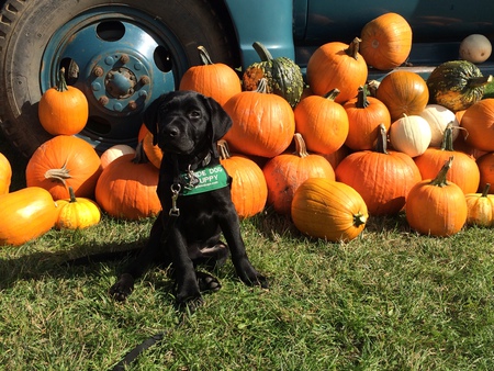 Entry image for Lubbock. Clicking this image will show a larger photo