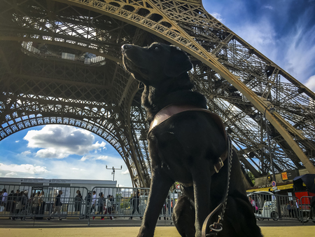 Entry image for Camry. Clicking this image will show a larger photo