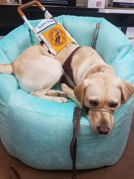 Entry image for Joyce. Clicking this image will show a larger photo