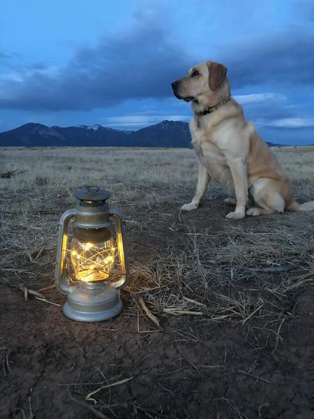 Entry image for Ibiza. Clicking this image will show a larger photo