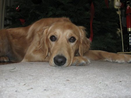 Entry image for Dani. Clicking this image will show a larger photo