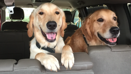 Entry image for Sardi & Sinclair. Clicking this image will show a larger photo