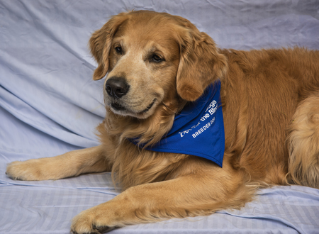 Entry image for Siefkin. Clicking this image will show a larger photo