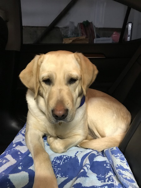 Entry image for Narnia. Clicking this image will show a larger photo