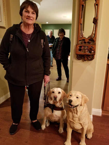 Entry image for Wynette. Clicking this image will show a larger photo