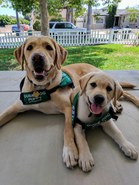 Entry image for Cinta and Frenchy. Clicking this image will show a larger photo