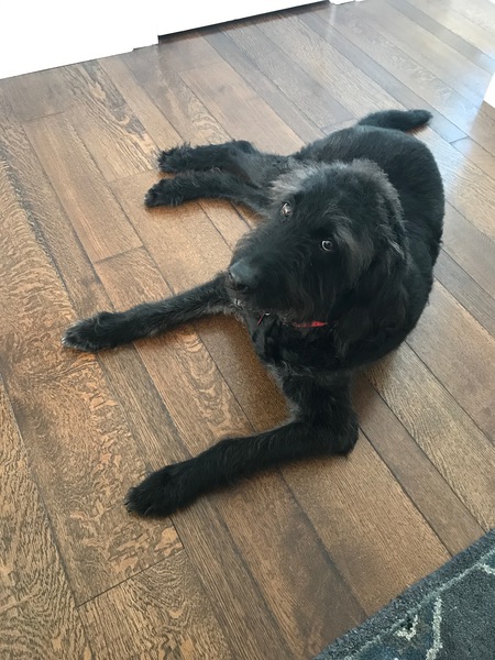 Entry image for Gary. Clicking this image will show a larger photo