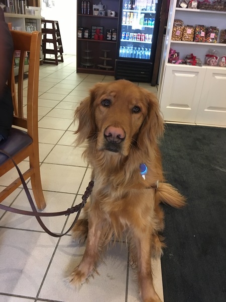 Entry image for Nottingham. Clicking this image will show a larger photo