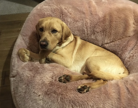 Entry image for Pittsburg. Clicking this image will show a larger photo