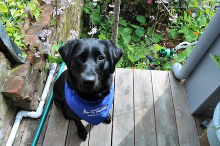 Entry image for Marin. Clicking this image will show a larger photo