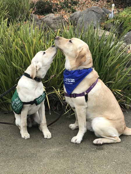 Entry image for Father and Son - Kent and Mario. Clicking this image will show a larger photo