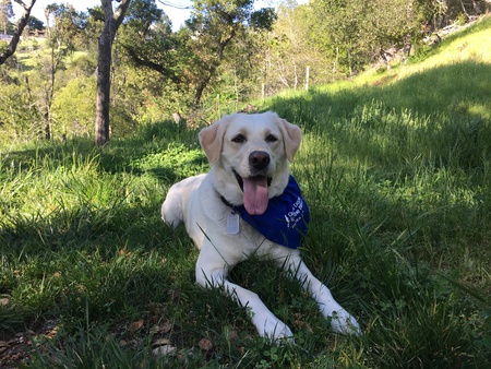 Entry image for Jordan. Clicking this image will show a larger photo