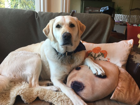 Entry image for Jordan. Clicking this image will show a larger photo