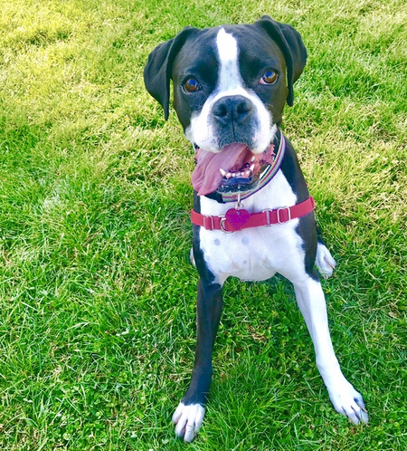 Entry image for Harley Smith. Clicking this image will show a larger photo