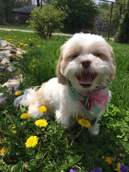 Sophie