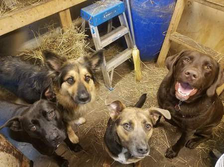 Nora, Cheyenne, Chuck, Weston