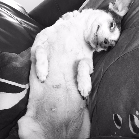 Lola