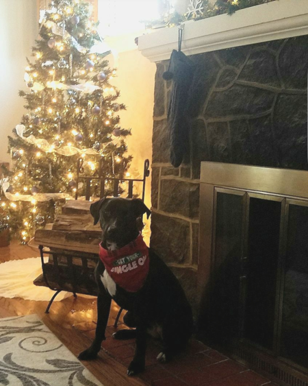 Nyla