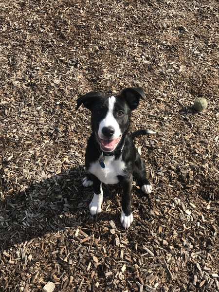 Tucker