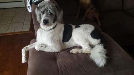 Koda 