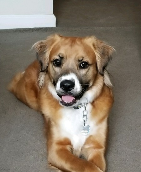 Bailey