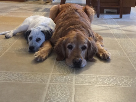 Murphy & Luna