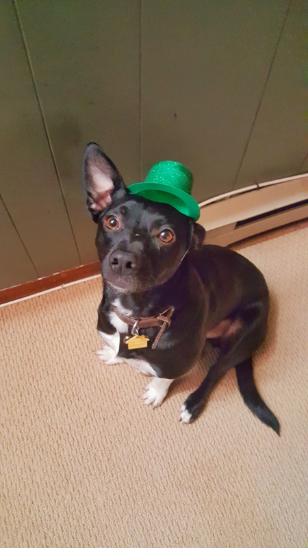 Milo