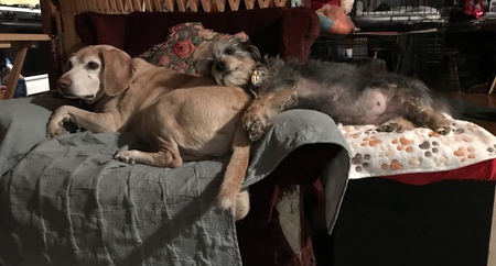SnoopDog & Roxy