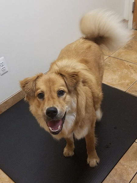 Kona