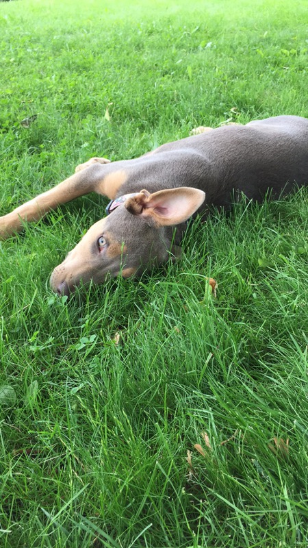 Winnie