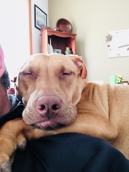 Chloe