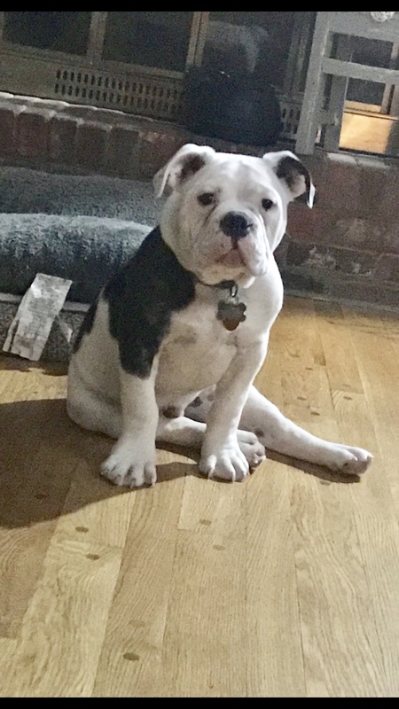 Gunner