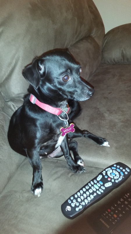 Molly