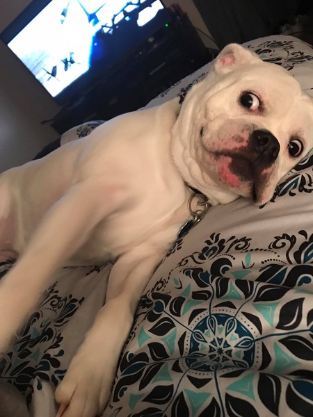 Ruby