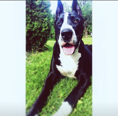 Bruce 