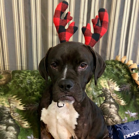 Maggie