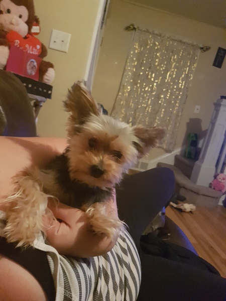 Sadie