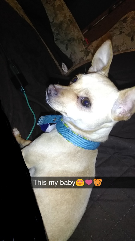 Marley
