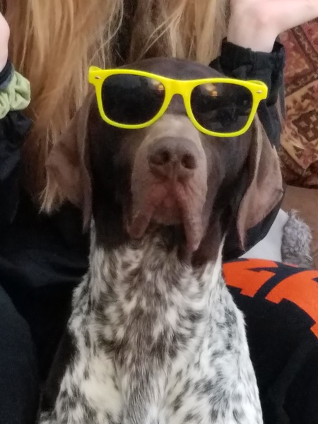 GUNNER