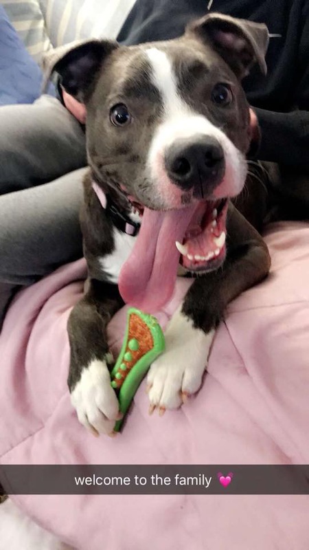 Bella
