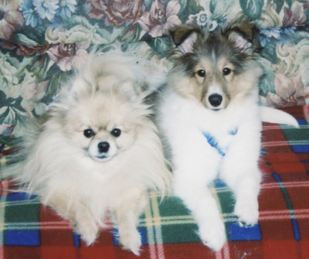 Buffy and Sparky