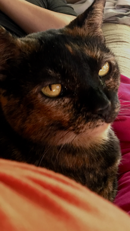 Tina