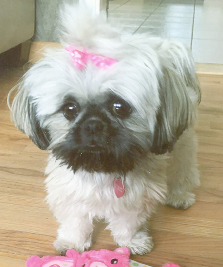 Roxy