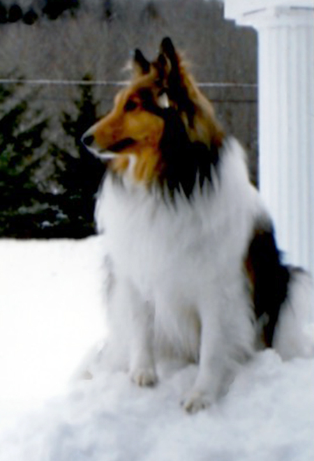 Sparkie