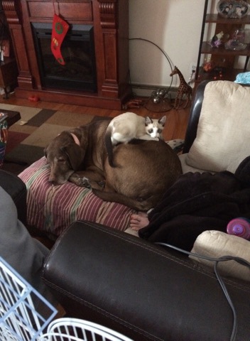 Tootsie and peek-a-boo