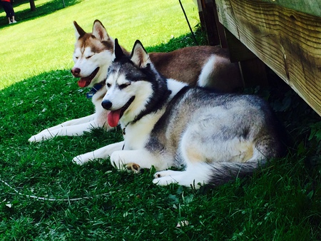 Hades & Nova