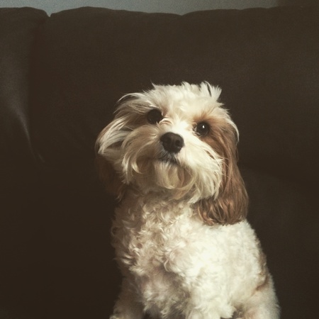 Lucy