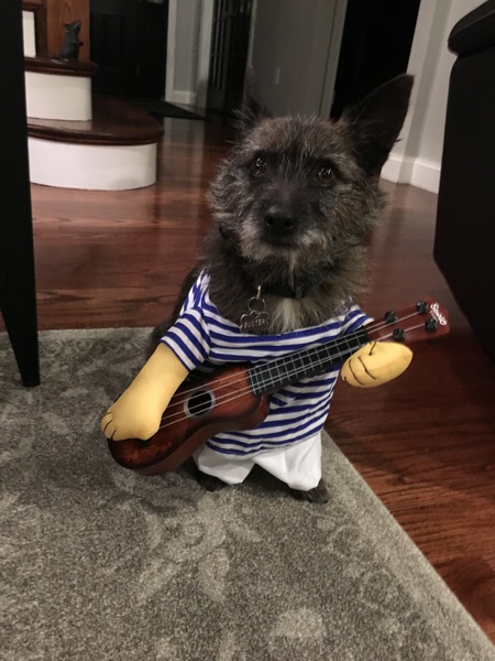 Rockin' Buster!
