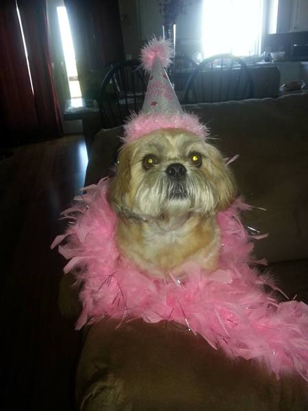 Coco